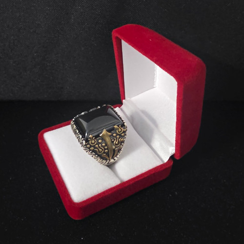 Herren siegelring silber 925 - siegelring,
