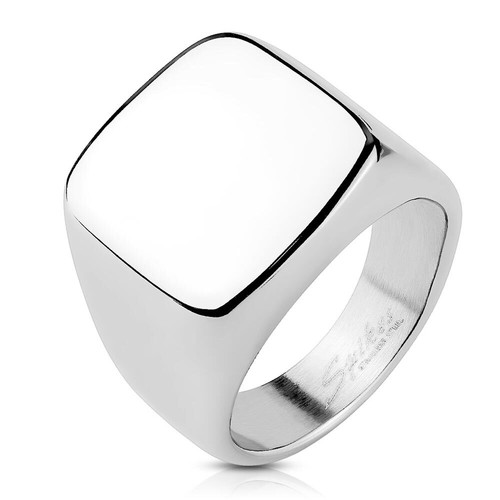 Siegel ring edelstahl silber - edelstahl,